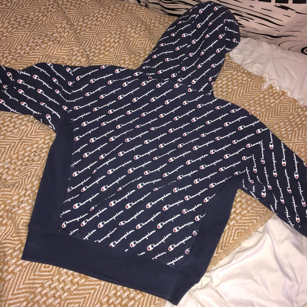 Blue Champion Hoodie